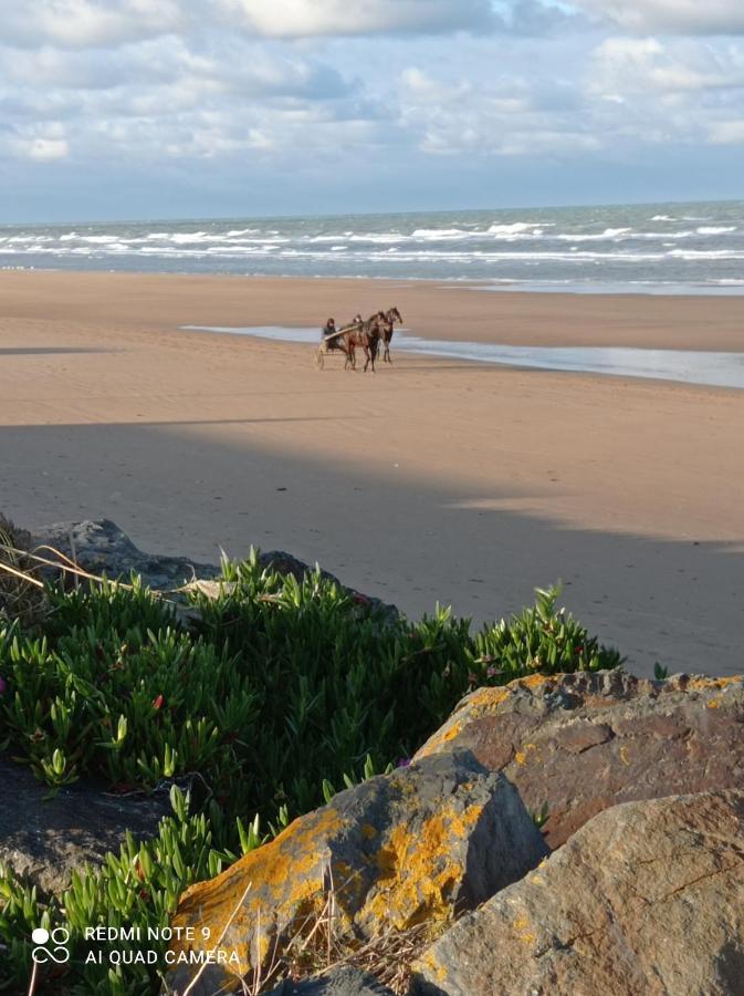 Gite La Hulotte Saint-Laurent-sur-Mer Esterno foto